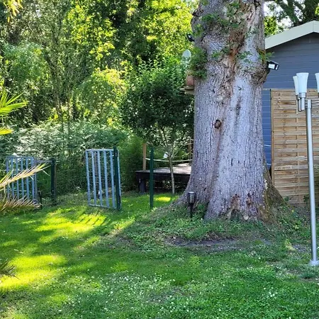 La Maison De La Saye & * Mios