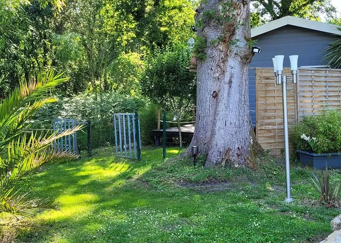 La Maison De La Saye & * Mios